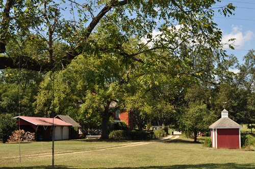 Property photo 1 - 1,575+/- Acres Offered in 23 Tracts